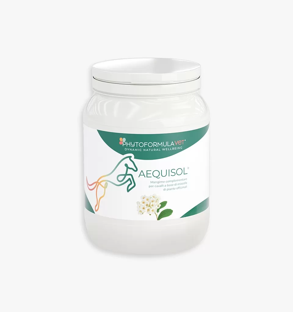 Aequisol Mangime complementare per cavalli 500g PHYTOFORMULAVET | RI.MOS. VET